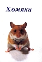 Хомяки артикул 3485b.