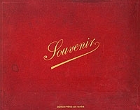 Souvenir артикул 3517b.